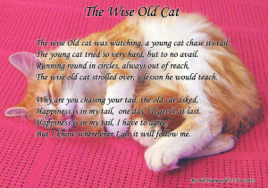 grumpy cat poem funny cat poems romantic cat poems funny cat poems
