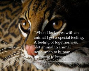 ... animal to animal not human to human but being to being a d williams