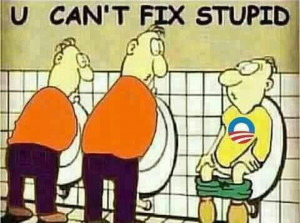 You can't fix stupid.