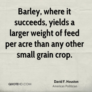 Barley, where it succeeds, yields a larger weight of feed per acre ...