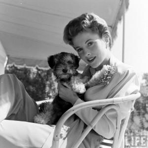 joan fontaine quotes my family was a combination of the critical and ...