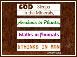 ... , awakens in plants, walks in animals, and thinks in man ~ God Quote