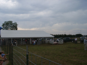 The Pig Showmanship Contest