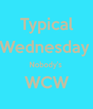 Nobody Has Voted For This