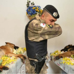 Soldier Says Goodbye To 2 Fallen K-9 Brothers At Their Ceremony