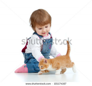 funny little girl playing with Scottish kitten - stock photo