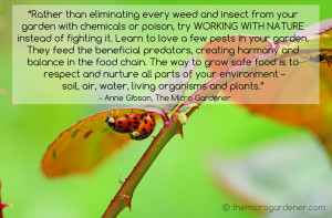 Working with nature quote - Anne Gibson, The Micro Gardener