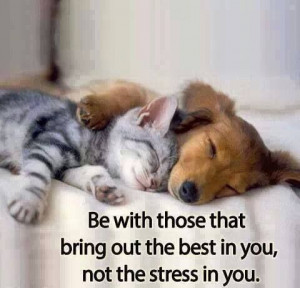 Pinned by tessa dixon