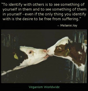 The Desire to be free from Suffering