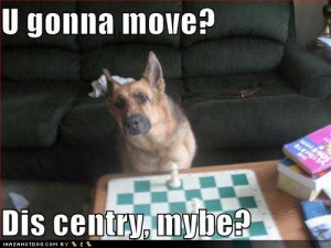 funny-dog-pictures-chess-hurry ...