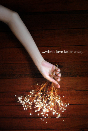 When Love Fades Away... by Voodoo-Freak