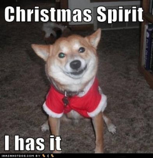 Dog Funny Christmas Quotes. QuotesGram