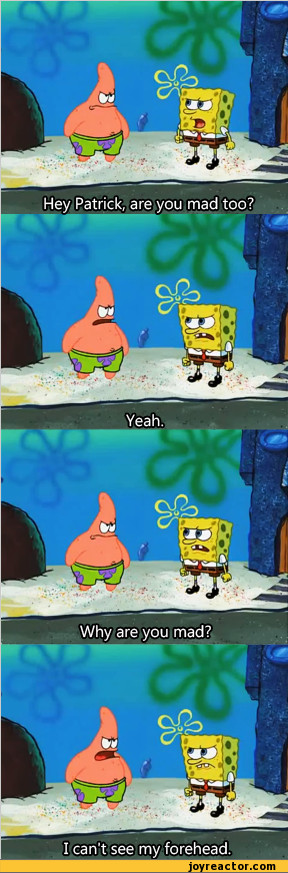 Hey Patrick Are You Mad Too / Sponge Bob Funny Pictures Forehead