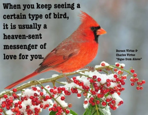 When you keep seeing a certain type of bird, it is usually a heaven ...