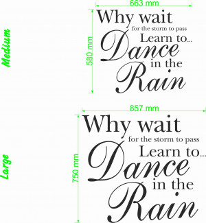 Why wait for the storm to pass quote size chart wall art decal vinyl ...