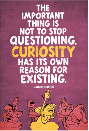 ... stop questioning. Curiosity has its own reason for existing. #einstein