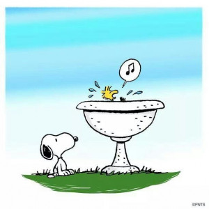 Snoopy & Woodstock
