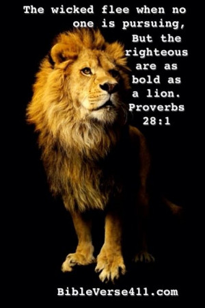 ... , the righteous are bold as a lion. Proverbs 28:1 Bible Verse 411