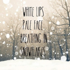Winter quotes sayings snowflakes beautiful