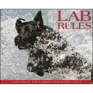 : The finest virtues of the Labrador Retriever character are aptly ...