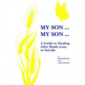 My Son . . . My Son . . .: A Guide to Healing After Death, Loss, or