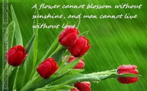 flowers have no any blossom without sunshine man can not live ...