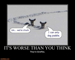 Snow Sayings and Quotes | its-worse-than-you-think-snow-funny-giraffe ...