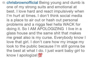 Chris Brown Apologizes To Karrueche Tran For Saying She Banged Drake