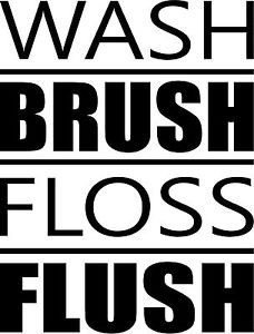 Wash-Brush-Floss-Flush-Vinyl-Wall-Quote-Decal-Words-Lettering-Design ...
