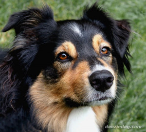 Funny Quotes Contact Us DMCA Notice