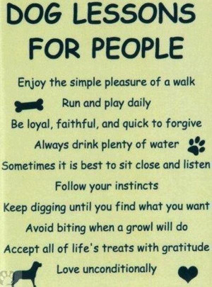 Dog Lessons for People