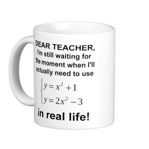 Dear Teacher Real Life Math Funny Mug