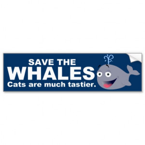 Funny Save the Whales Quote Bumper Sticker