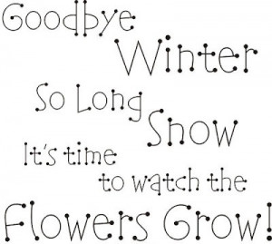 There are 4 seasons in a year: