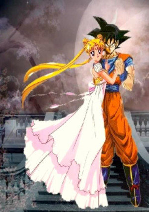 Goku and Usagi serena tsukino sailor moon dragon ball anime crossover ...