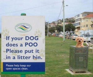 http://www.funny-pictures.name/Image...funny-sign.jpg