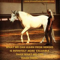 ... start learning from life's best experts... the horses themselves! More