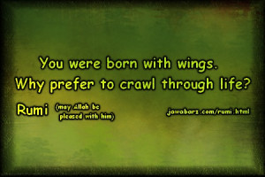 ... Why prefer to crawl through life? | Rumi Quotes on life & struggle
