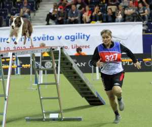 ... From 2012 FCI World Championships | Susan Garrett's Dog Training Blog