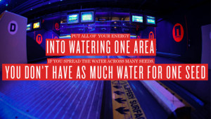 Put All Of Your Energy Into Watering One Area You Don't Have As Much ...