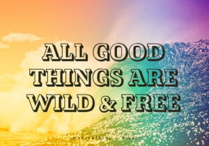 ... 500 marian16rox: All good things are wild and free. Enjoy life