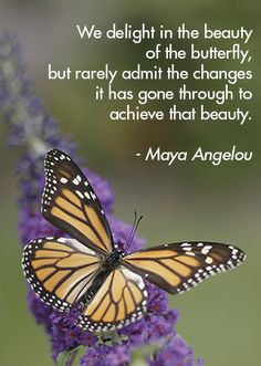 ... org more quotes gardens beautiful butterflies butterflies gardens
