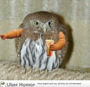 Funny Birds with Arms
