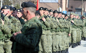 Thread: Kosovo Security Forces