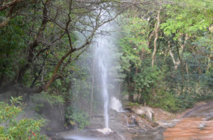 Animal Kingdom Wild Africa Trek – More Pictures
