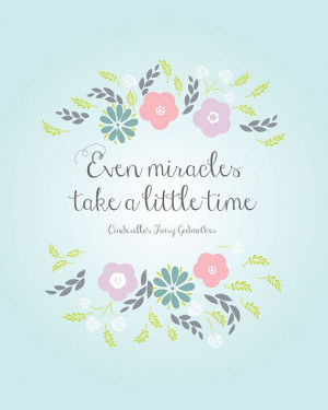Miracles Take A Little Time Cinderella Quote by akmo, $5.00 #miracles ...