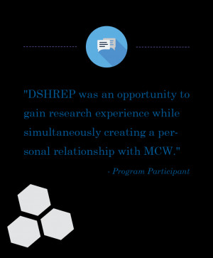 Diversity Summer Health-related Research Education Program (DSHREP)