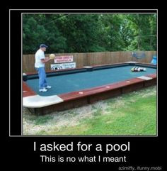 nice idea though. giant backyard pool table, use your hands. I'd love ...