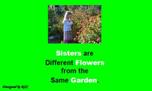 Sister Quotes - Sisters are different flowers from the same Garden ...