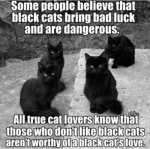 welcome to the right neighborhood!